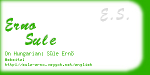 erno sule business card